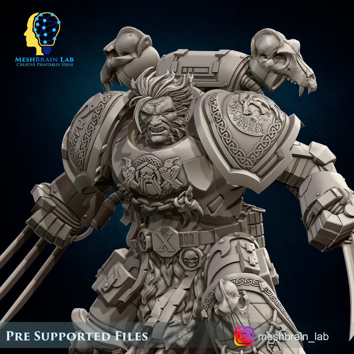 Imperial Marines - Sons of the Aesir Champion
