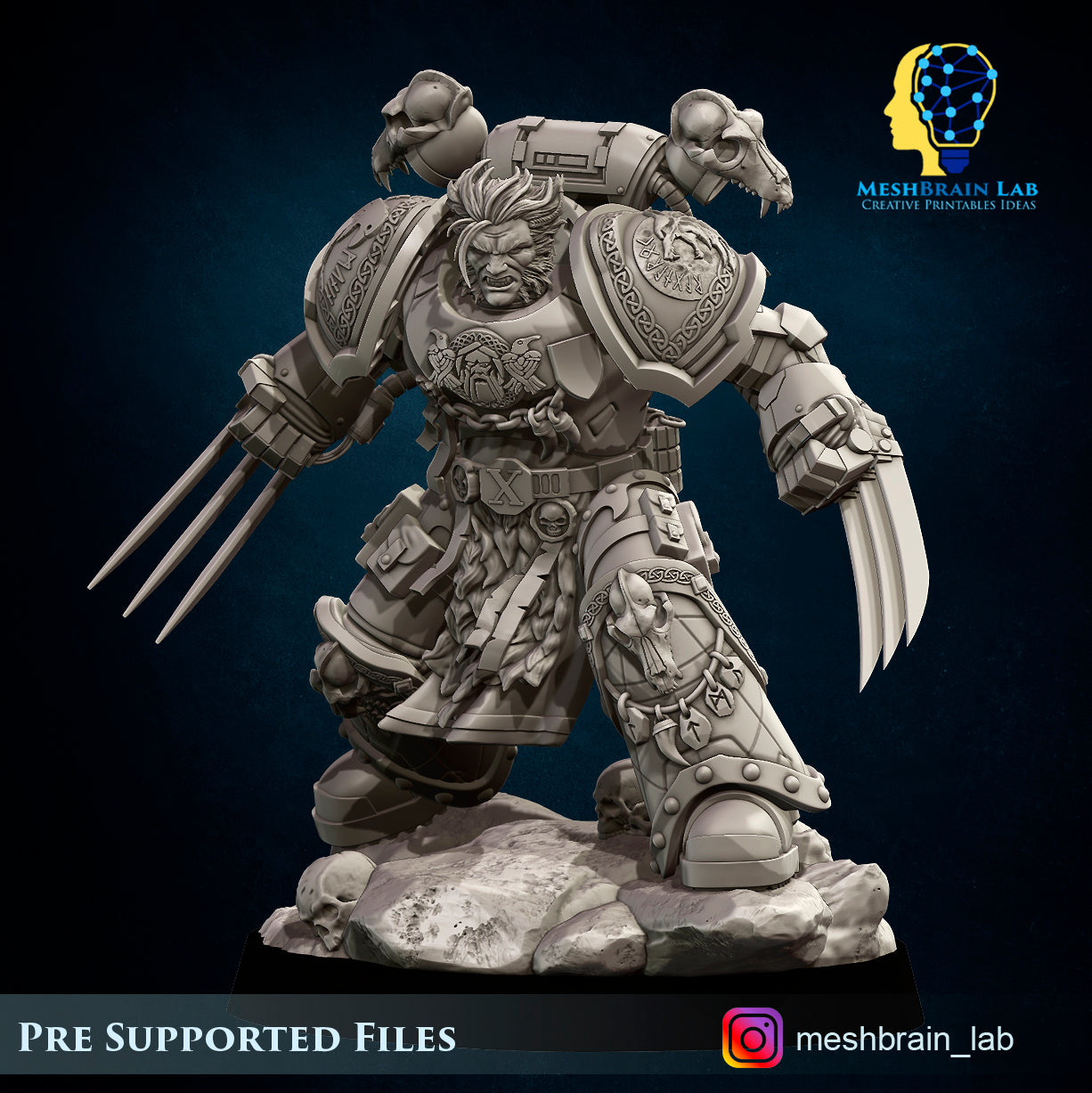 Imperial Marines - Sons of the Aesir Champion