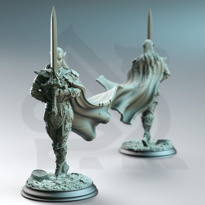 Fey Elf Duelist - Alysion of the Spotless Wood | DM Stash | D&D