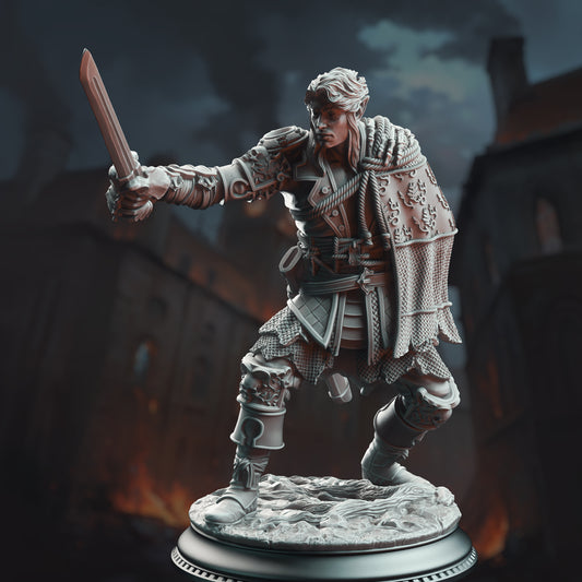 Half-Elf Swashbuckler - Corin of Lamhet | DM Stash | D&D