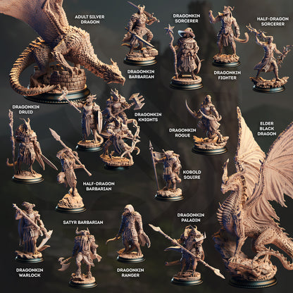 DM Stash : Clash of the Dragons - Full Board and Tabletop game