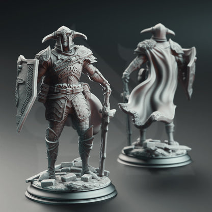 Nordic Paladin of Nature's Wrath - Lizarin | DM Stash | D&D