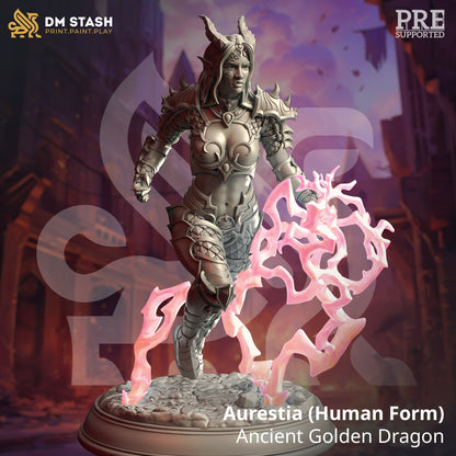 DM Stash : Siege of Nirloom - Full Board and Tabletop game