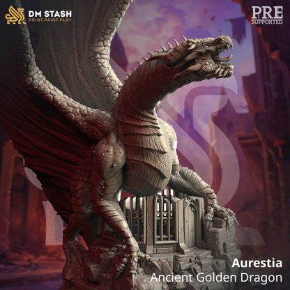 DM Stash : Siege of Nirloom - Full Board and Tabletop game