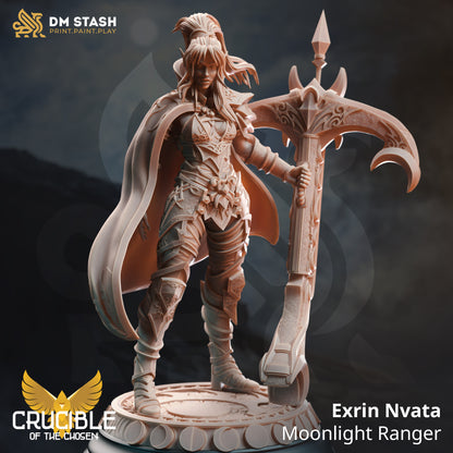 DM Stash : Crucible of the Chosen - Full Board and Tabletop game