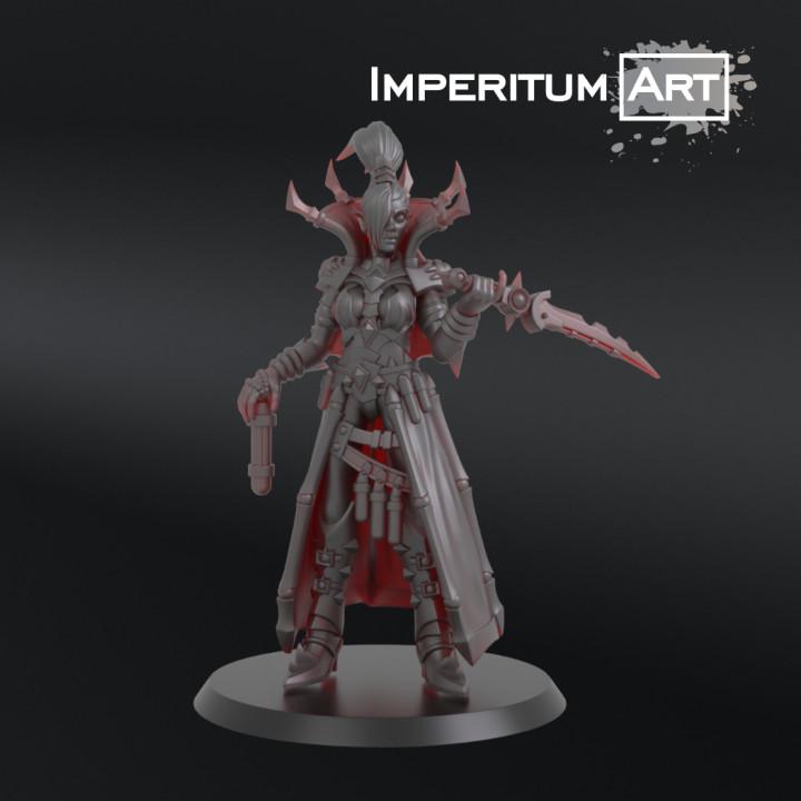 Dark Elves - Tormentors | Imperitum Art | Wargaming | Tabletop | Minifigure |28mm scale| 32mm scale | Grimdark compatible