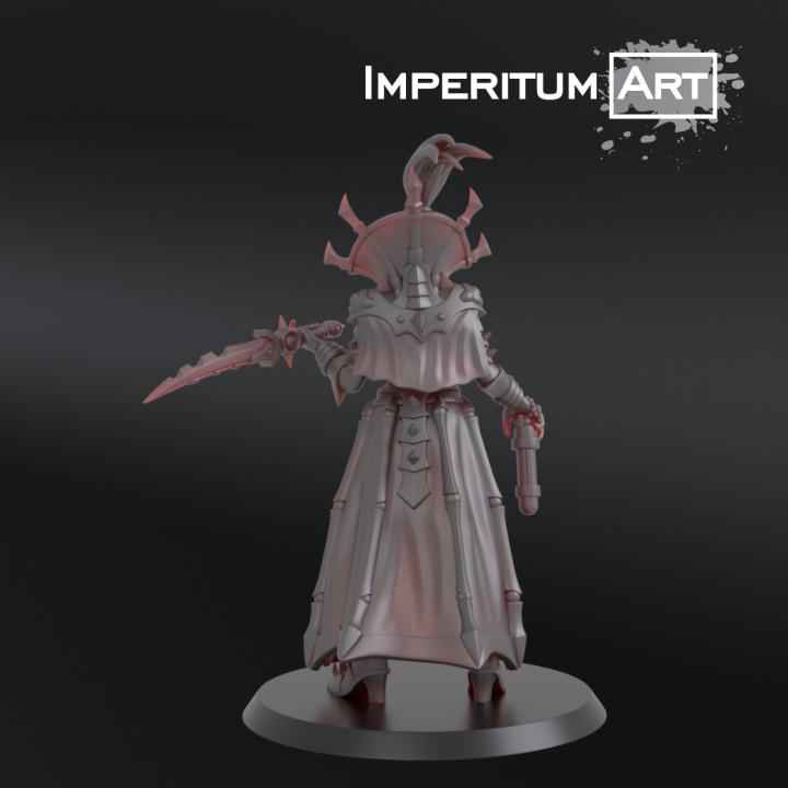 Dark Elves - Tormentors | Imperitum Art | Wargaming | Tabletop | Minifigure |28mm scale| 32mm scale | Grimdark compatible