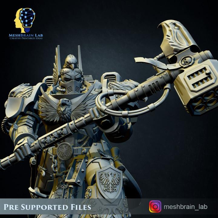 Imperial Marine Master of the order and Sworn Guard | Meshbrain Lab| Minifigure | Wargaming | Tabletop | Minifigure | 28mm scale | 32mm scal