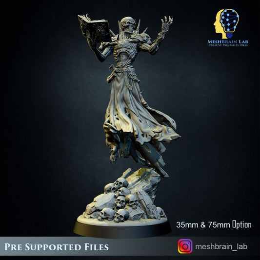 Lich Lord Vecna | Meshbrain Lab | Wargaming | Tabletop | Minifigure | 28mm scale | 32mm scale | Grimdark compatible