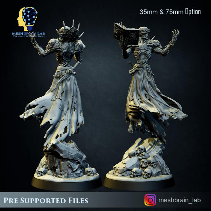 Lich Lord Vecna | Meshbrain Lab | Wargaming | Tabletop | Minifigure | 28mm scale | 32mm scale | Grimdark compatible