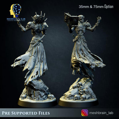 Lich Lord Vecna | Meshbrain Lab | Wargaming | Tabletop | Minifigure | 28mm scale | 32mm scale | Grimdark compatible