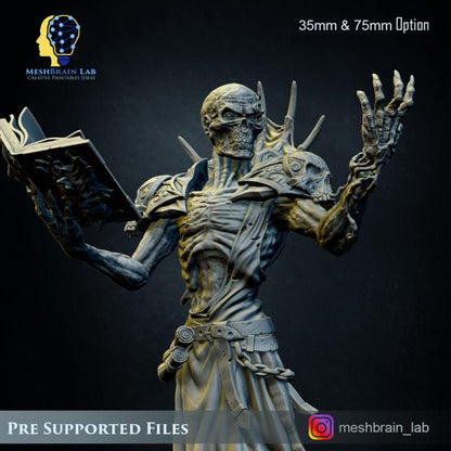 Lich Lord Vecna | Meshbrain Lab | Wargaming | Tabletop | Minifigure | 28mm scale | 32mm scale | Grimdark compatible