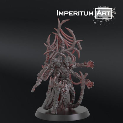 Dark Elves - Tormentors | Imperitum Art | Wargaming | Tabletop | Minifigure |28mm scale| 32mm scale | Grimdark compatible