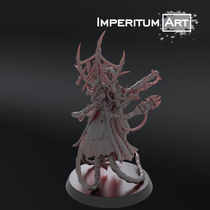 Dark Elves - Tormentors | Imperitum Art | Wargaming | Tabletop | Minifigure |28mm scale| 32mm scale | Grimdark compatible