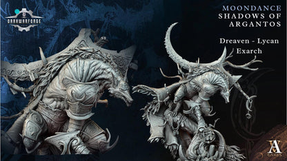 Archvillain Games : Moondance - Shadows of Argantos | D&D | Wargame | RPG | One Page Rules compatible