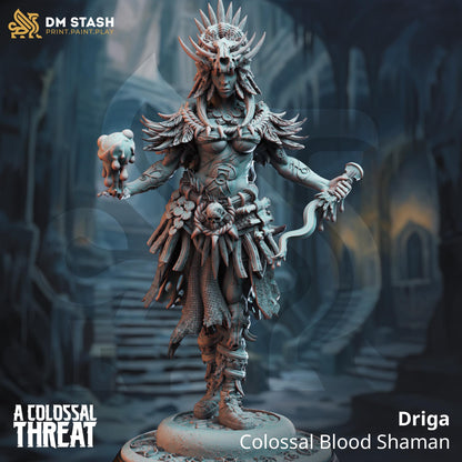 Female Shaman Priestess Driga | Painting | 3D printed | D&D | Dungeons and Dragons | Gift | RPG | Tabletop | Wargaming | 32mm | DM Stash