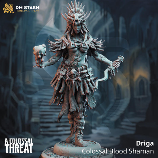 Female Shaman Priestess Driga | Painting | 3D printed | D&D | Dungeons and Dragons | Gift | RPG | Tabletop | Wargaming | 32mm | DM Stash