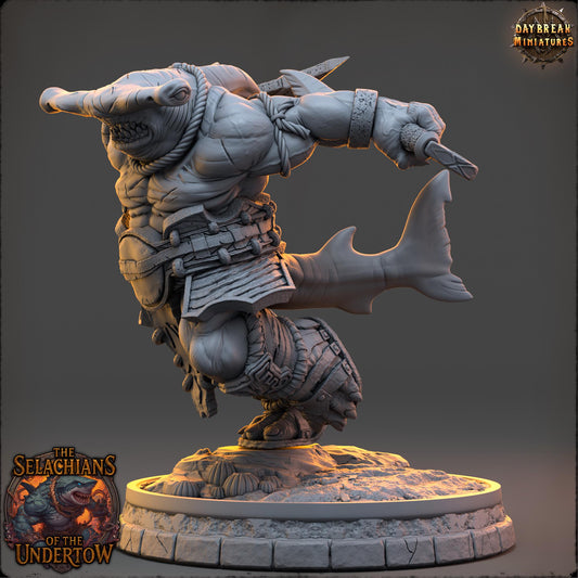 Sharkfolks - Kosh Velmarn | Daybreak Miniatures | 3D printed miniature | Tabletop Games | Dungeons and Dragons | Wargaming | D&D
