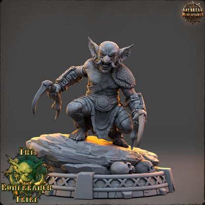 Goblin Rogue - Thrizz Sharpnose | Daybreak Miniatures | 3D printed | Tabletop | Dungeons and Dragons | Wargaming | D&D