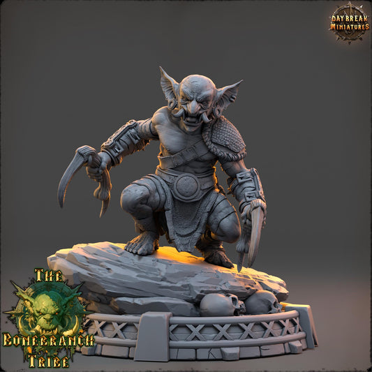 Goblin Rogue - Thrizz Sharpnose | Daybreak Miniatures | 3D printed | Tabletop | Dungeons and Dragons | Wargaming | D&D