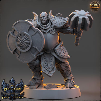 Human Figther - Hector du Cœur Vaillant | Daybreak Miniatures | 3D printed | Tabletop | Dungeons and Dragons | Wargaming | D&D