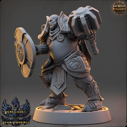 Human Figther - Hector du Cœur Vaillant | Daybreak Miniatures | 3D printed | Tabletop | Dungeons and Dragons | Wargaming | D&D