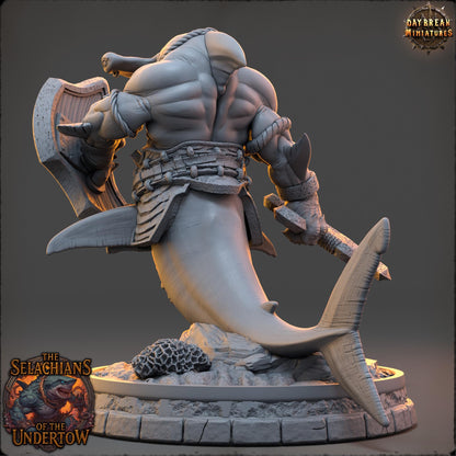 Sharkfolks - Marris the Maw | Daybreak Miniatures | 3D printed miniature | Tabletop Games | Dungeons and Dragons | Wargaming | D&D