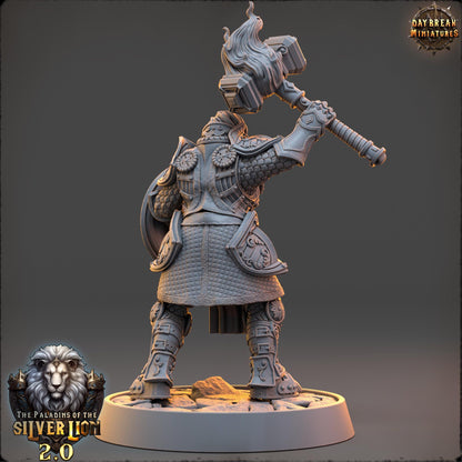 Human Figther - Amandine de Aube Radieuse | Daybreak Miniatures | 3D printed | Tabletop | Dungeons and Dragons | Wargaming | D&D