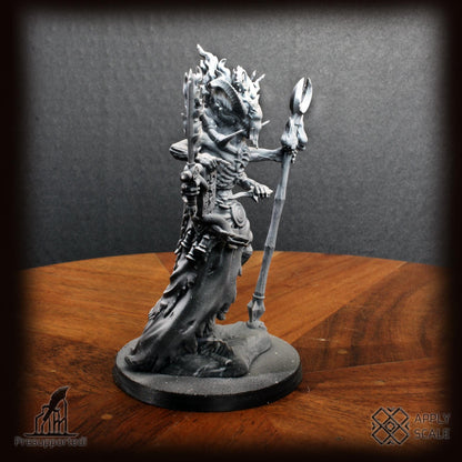 The Court - Sorcerer Deamon Mage by Apply Scale - 3D printed Trench Crusade compatible miniature