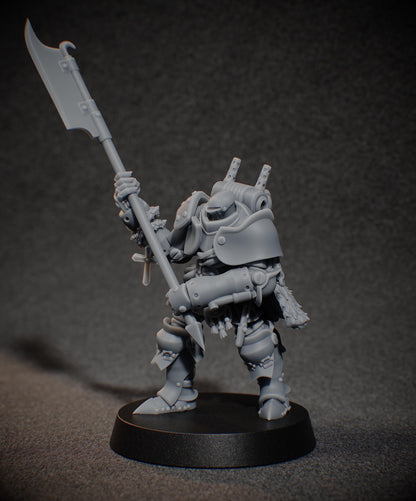 Highlander Heavy Infantry - 3D printed miniature  - Wargaming - Trench Grimdark