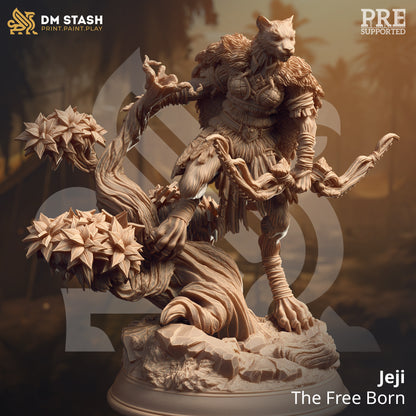 DM Stash : Lost & Found - Full Board and Tabletop game