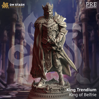 DM Stash : Siege of Nirloom - Full Board and Tabletop game