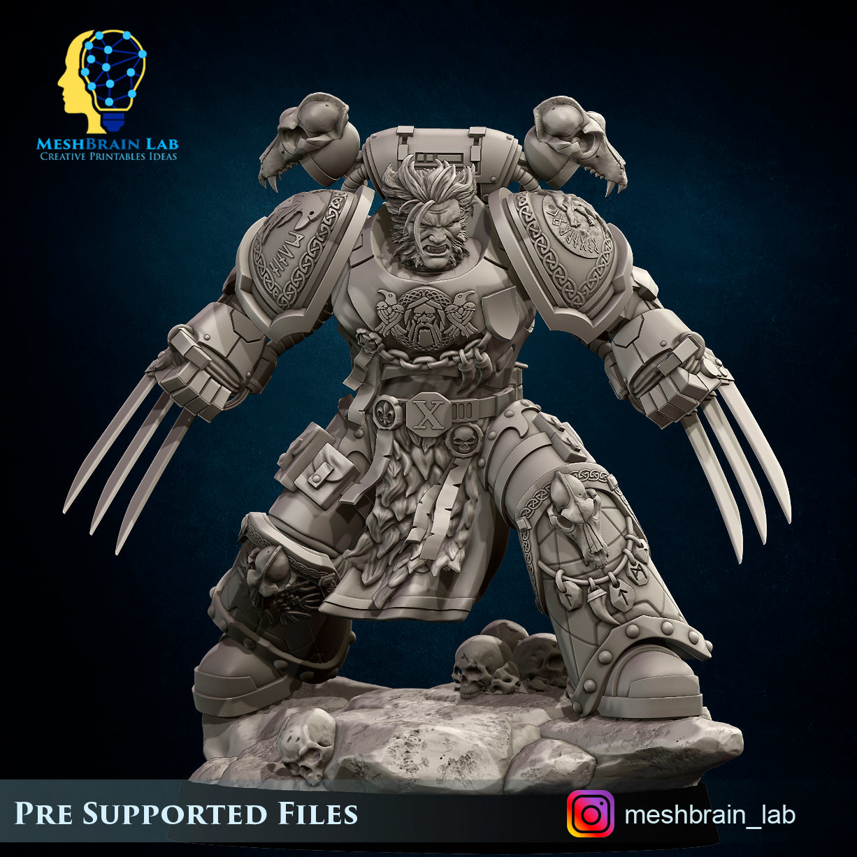 Imperial Marines - Sons of the Aesir Champion