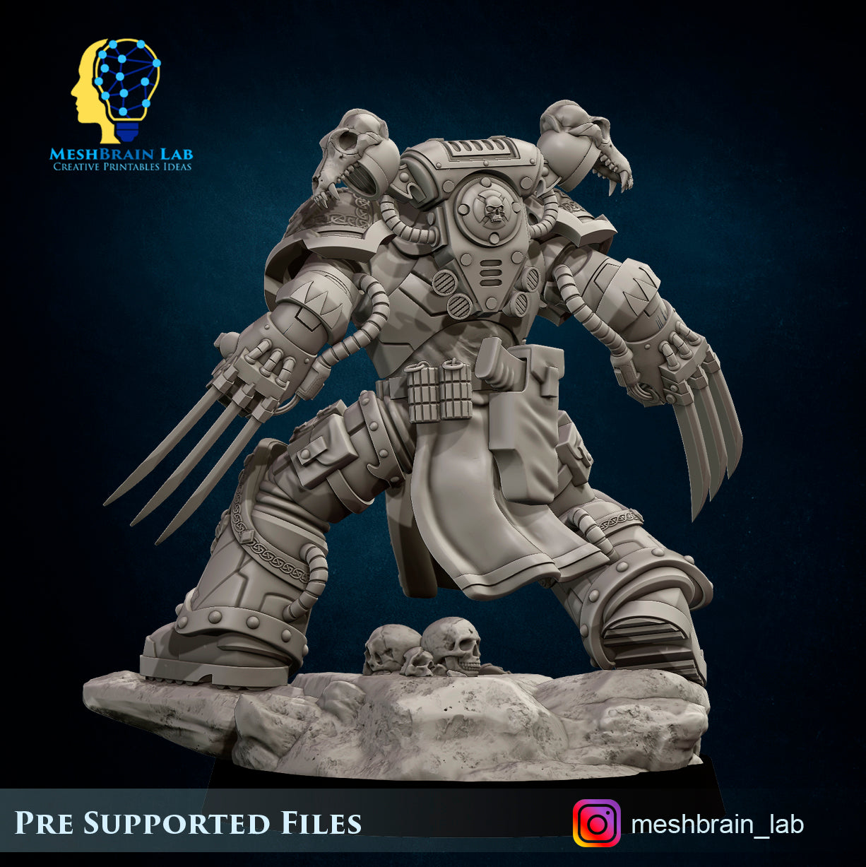Imperial Marines - Sons of the Aesir Champion