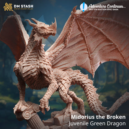 DM Stash : Adventure Continues - Full Board and Tabletop game